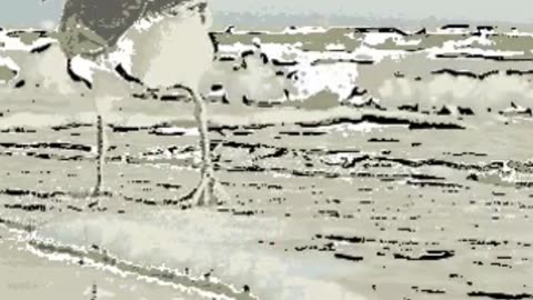 Birds in Mixed Media Effortless Blending