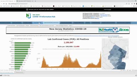 New Jersey Statistician Takes Us Through the State COVID Information Hub