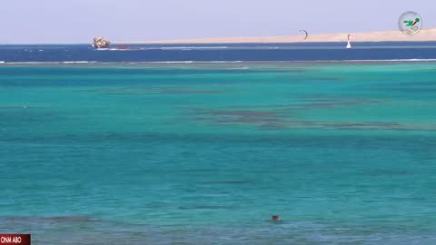 Oduu Galgala ONM-ABO Onkoloolessa 26-2024 itti dhiyaadhaa!