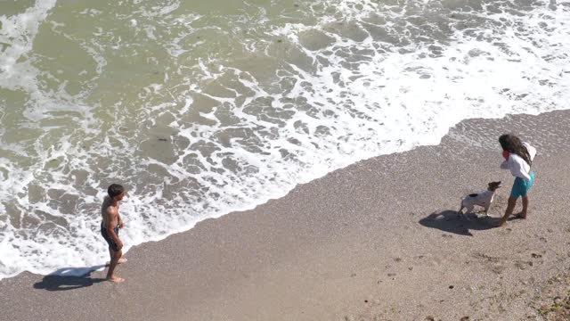 Dogs love to play with the ball, see the beauty of the sea