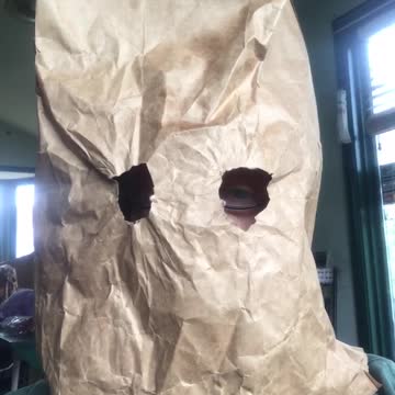 A Proud Biden Supporter