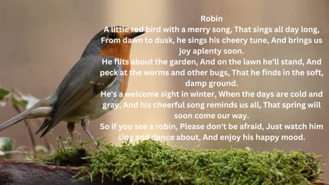 short robin bird poem