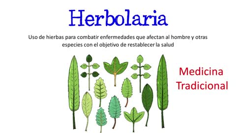 🌿¿Qué es la Herbolaria🌿 [Fácil y Rápido] BIOLOGÍA