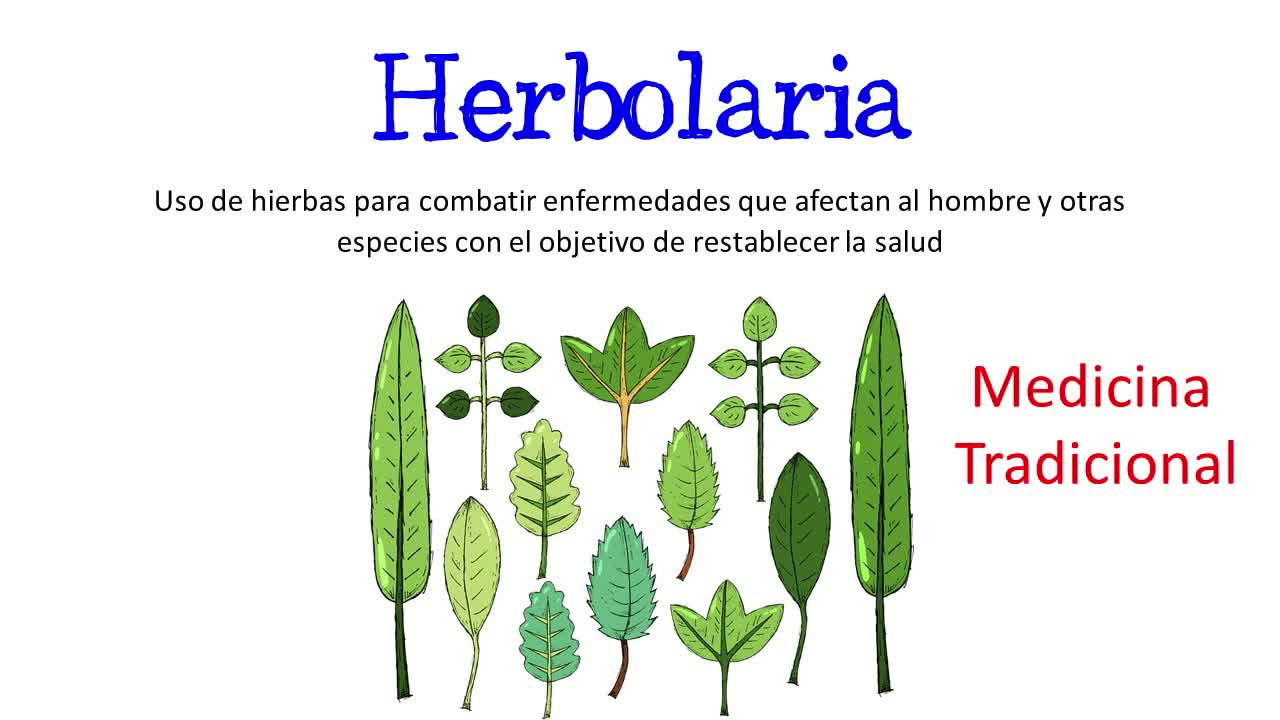 🌿¿Qué es la Herbolaria🌿 [Fácil y Rápido] BIOLOGÍA