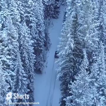 Mindset Motivation | Steve Harvey