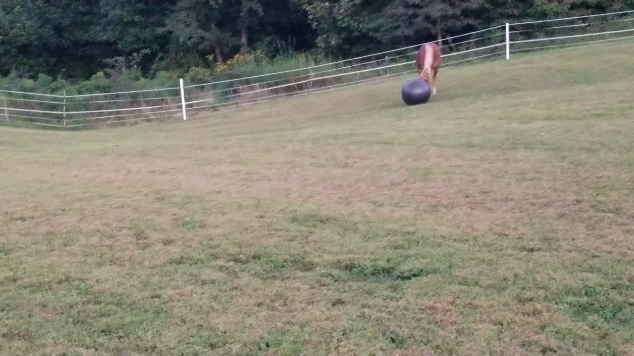 This way, kiddo