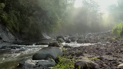 Relaxing Music | Sleeping, Meditation, Stress Relief | [6842] ⭐️