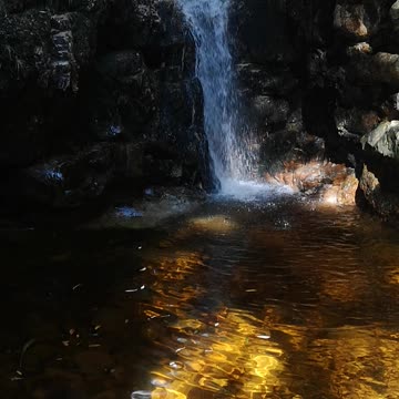 Beautiful nature in Stellenbosc