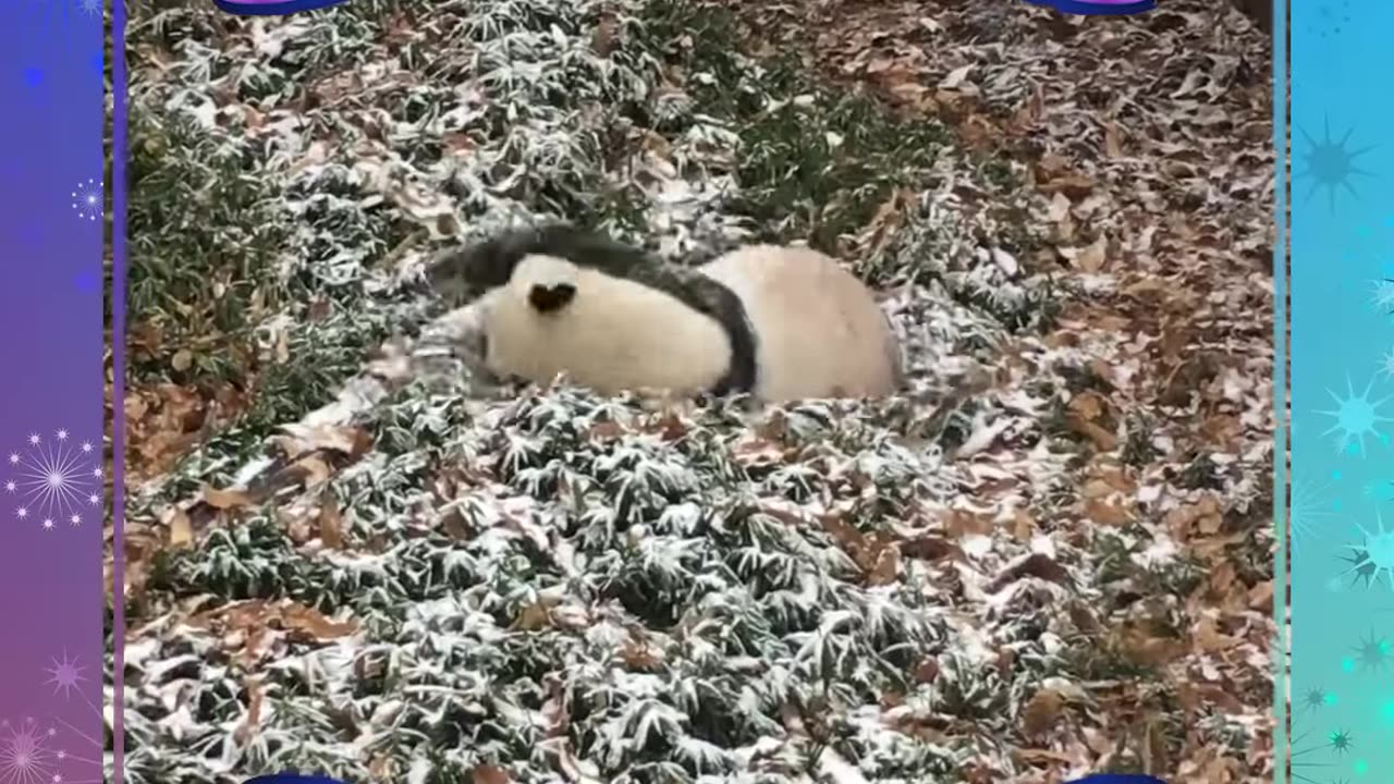 Happy Holidays and New Year from the Smithsonian's National Zoo