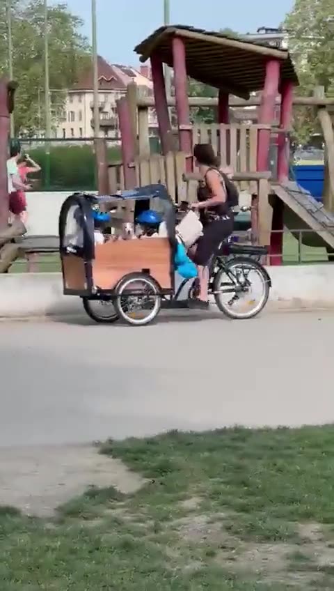 Syrian 'refugee' filmed stabbing babies and parents in a park in France