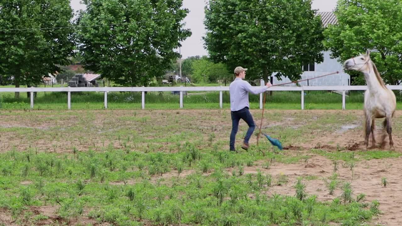 Please Do This With Your Horses! How I Desensitize A Horse To A Plastic Bag (3 Steps)