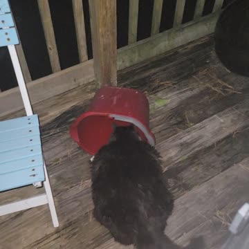 Wake up @4 am and see this