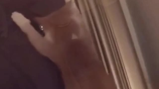 funny video