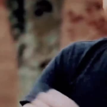 Shorts: Matt and Carolina (The vampires diaries)