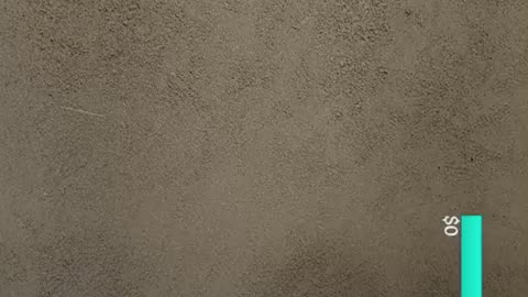 fatty demon pig - 2024 - November 16th part 001