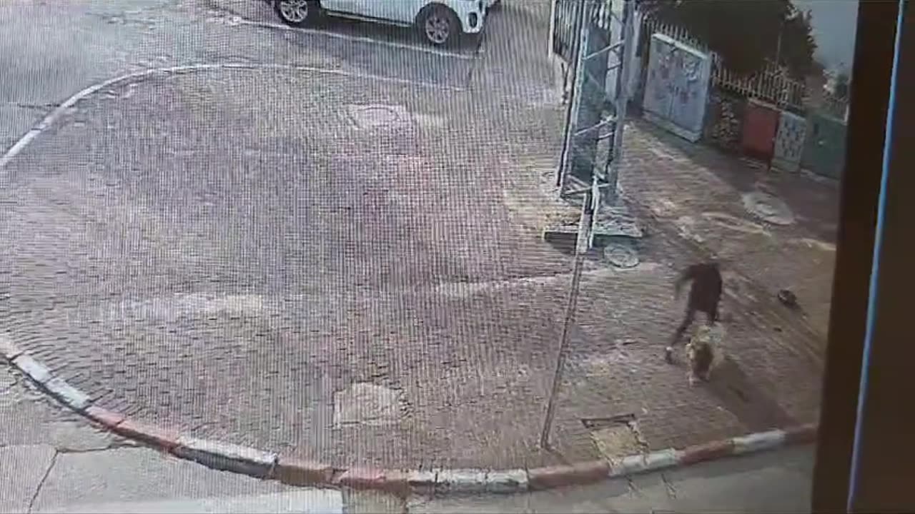 A pregnant woman two kids was attacked and stabbed to death in Lod, Israel.