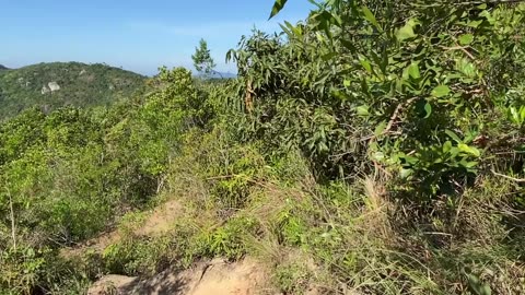 17/19 - Explorando a Trilha do Morro do Macaco em Bombinhas: Uma Experiência Imersiva! #bombinhas