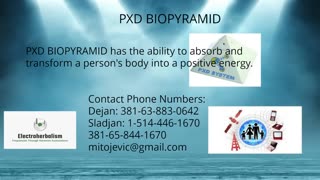 PXD BIOPYRAMID ENERGY