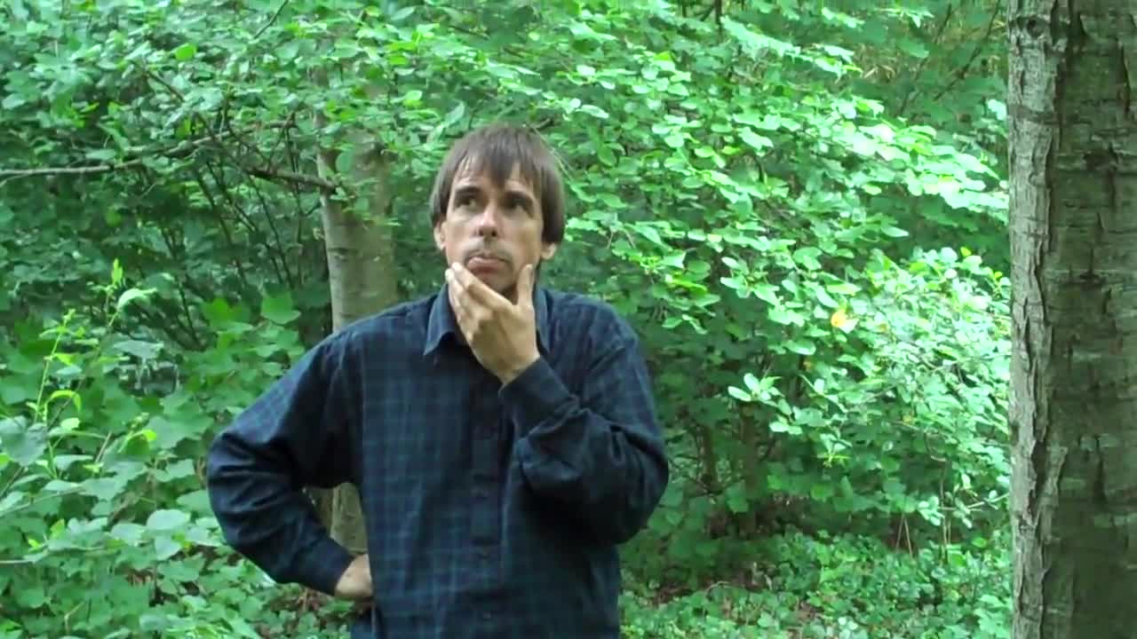 Martin Crawford's Forest Garden Part9