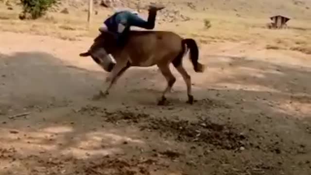 Hold pawn 😂😂😂