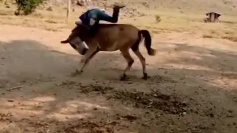 Hold pawn 😂😂😂