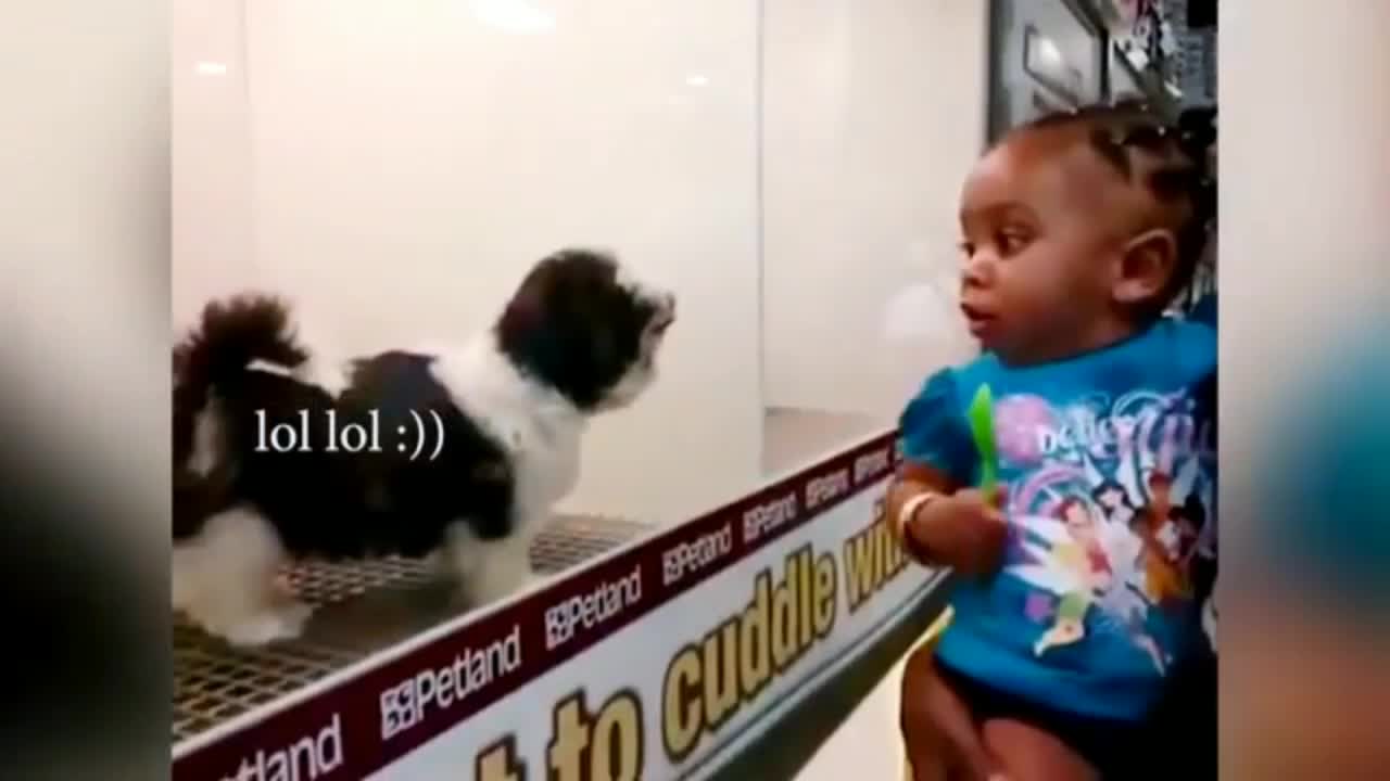 Doggy 🐕 doggy 🐕 And baby 🍼 Amazing Funny Video 🤣🤣🤣🤣 hahahaha