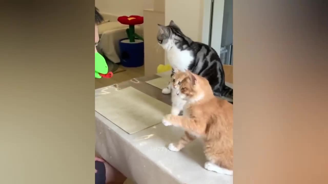 Try not to laugh best funny videos compilation 😂😂😂
