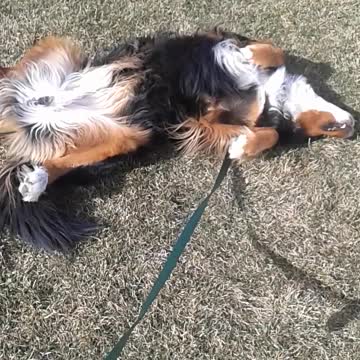 You have to be patient if you want a BMD