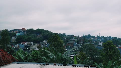 rural nature in the morning