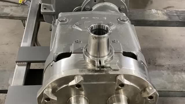 Waukesha Model 060 Positive Displacement Pump (B)