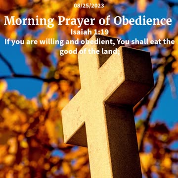 Morning Prayer of Obedience #youtubeshorts #godslove #jesus #god #blessed #grace #mercy #faith #joy