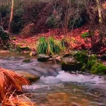 Natural cooking in natural life, best recipes, food, eat, eating, cooking skills, how to cook #39