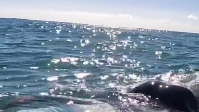 How to get waves when it's flat