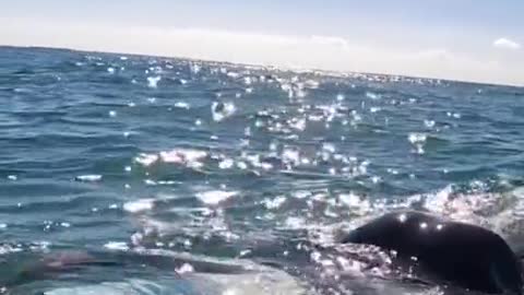 How to get waves when it's flat