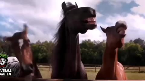 horse laugh😂