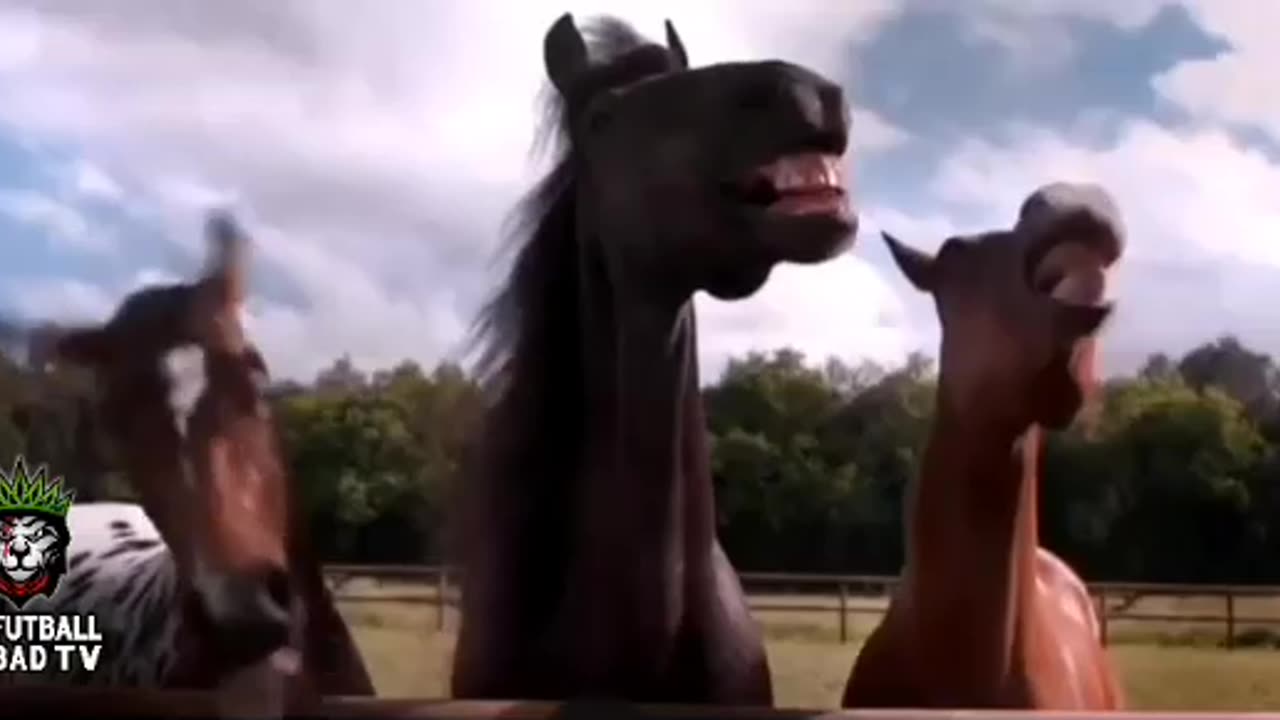 horse laugh😂