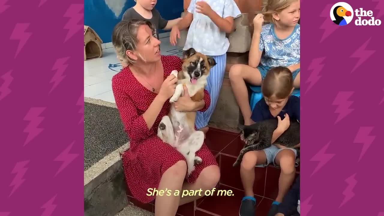 Abandoned Puppy Gets Rescued And Goes to School With Kids Every Day | The Dodo Little But Fierce