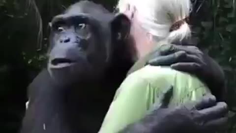 Most beautiful girl and monkey love | only world lover can understand