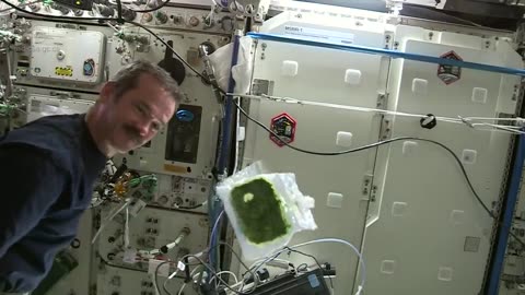 How to cook spinach in space|NASA