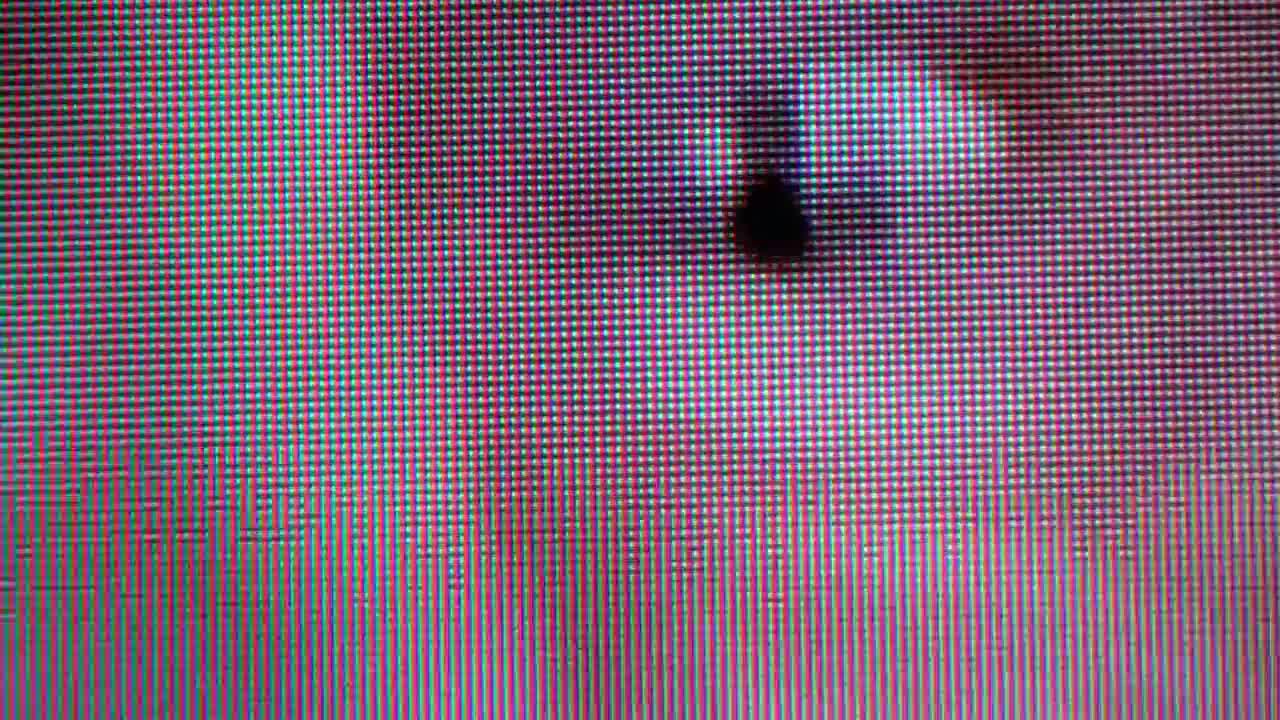 2. REPTILIAN KCET JAN 9 2013