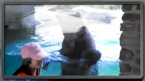 funny_animals_with_human_1