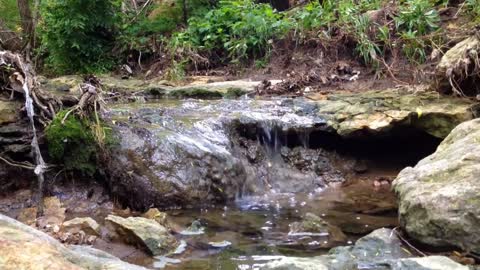 Relaxing Music | Sleeping, Meditation, Stress Relief | [1304] ⭐️