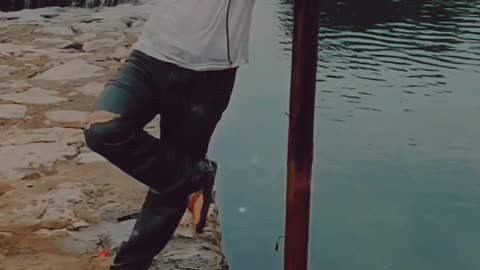 Funny Video