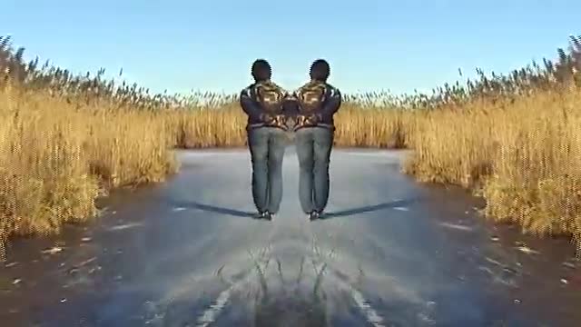 Schaatsen op de Nieuwkoopse plassen - Schaduw op het riet 2