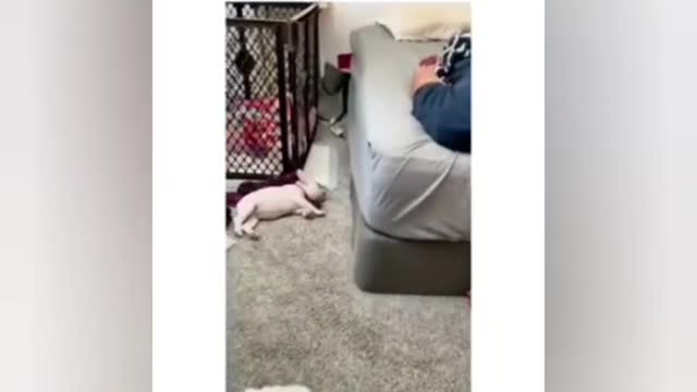 ๐ Funny memes ๐_๐Hilarious memes ๐__shorts _memes