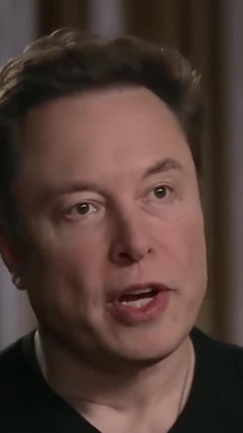 Are humans still the smartest creatures? #short #fox #elonmusk #ai