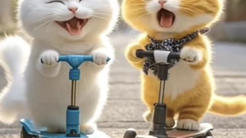 "Purr-fect Joyride: Two Kittens on a Tricycle Adventure! 😸🚲"