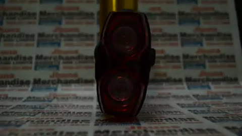 Raypal 2LEDS Bicycle Tail Light