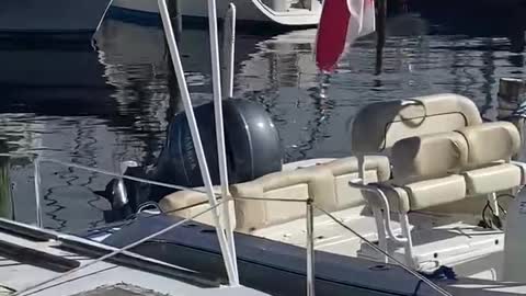 Julington Creek Pier 3 TRUMP⚔️⚔️