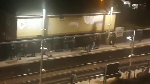 In London, the swan paralyzed the work of the subway for almost an hour